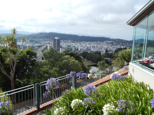 Jenny photos Sept 15 473.JPG